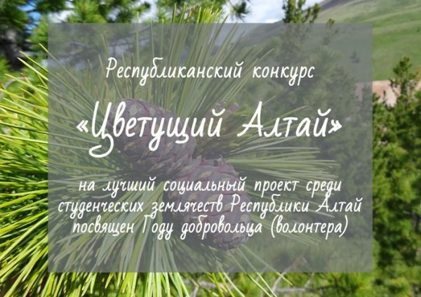 Конкурс социальных проектов для студенческих землячеств Республики Алтай