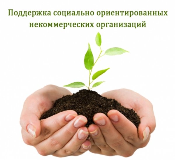 Объявлен конкурс на предоставление субсидий СО НКО Республики Алтай
