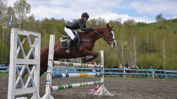 Итоги открытого первенства Сибири и Чемпионата Республики Алтай по конному спорту подвели в столице региона