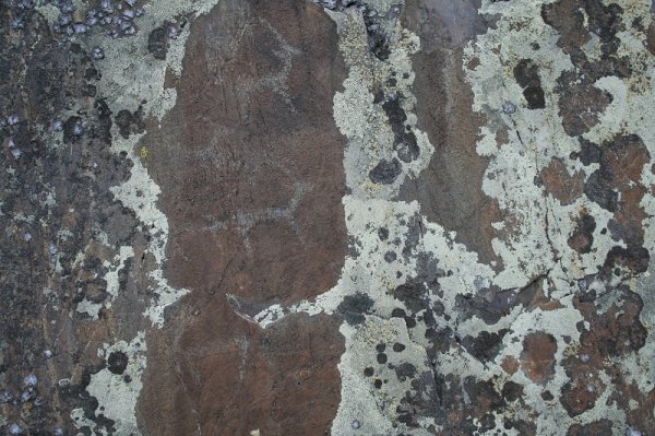 Новые петроглифы найдены в районе села Каспа