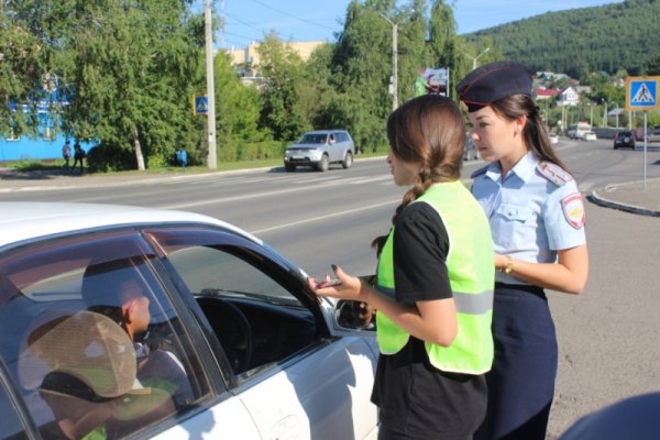 В Республике Алтай автоинспекторы и волонтеры провели профилактическую акцию «Пешеход и переход!»