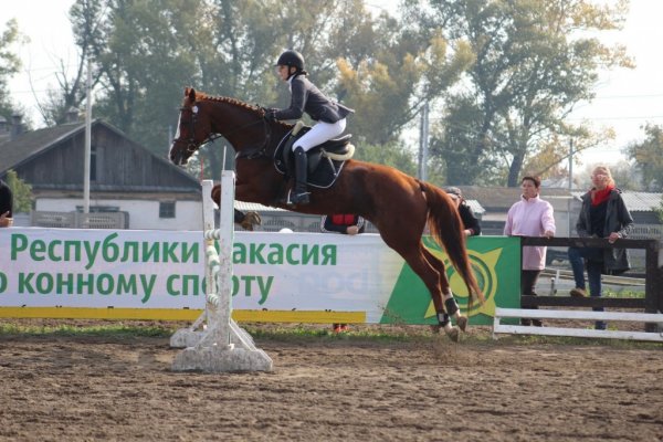 Сборная команда Республики Алтай успешно выступила на Всероссийских соревнованиях по конному спорту