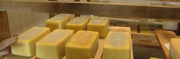Масло и сыр только из натурального сырья