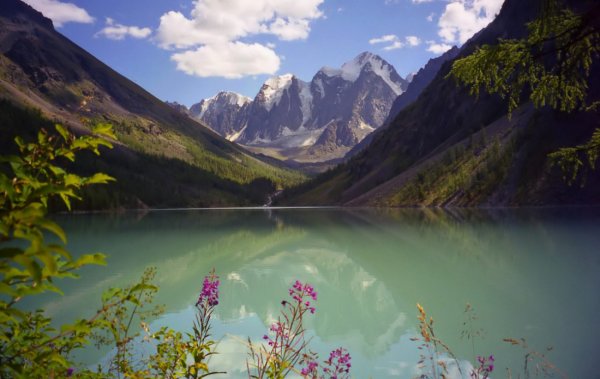 Горный Алтай вошел в тройку лучших направлений для экологического туризма
