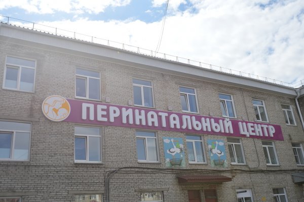 Более 2,4 тысяч детей родилось в Республике Алтай с начала года