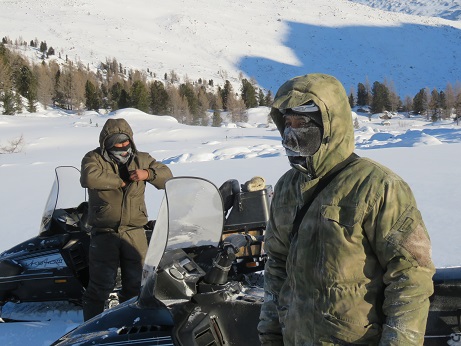 На плато Укок в Горном Алтае фотоловушки «поймали» трех снежных барсов