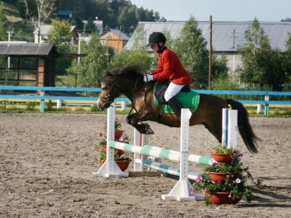 Четыре турнира по конному спорту пройдут в Горно-Алтайске в ближайшие дни