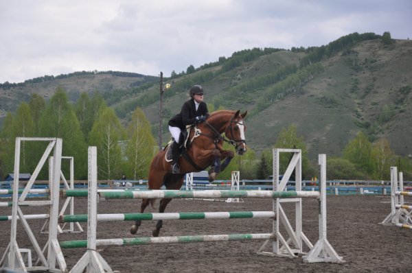 Соревнования по конному спорту прошли в Республике Алтай