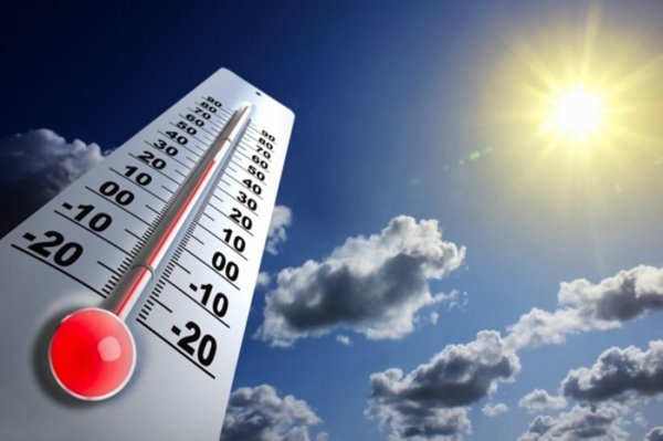 В Республике Алтай установится аномально жаркая погода