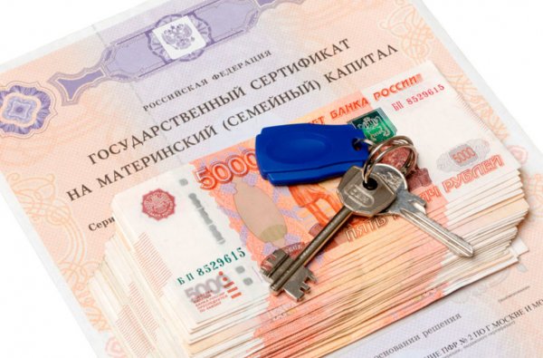 Займы под маткапитал остаются самой распространенной схемой нелегальных кредиторов в Сибири