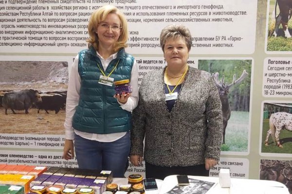 Делегация Республики Алтай принимает участие в Новосибирском агропродовольственном форуме