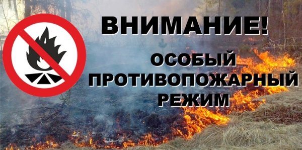 Особый противопожарный режим вводится в Горном Алтае