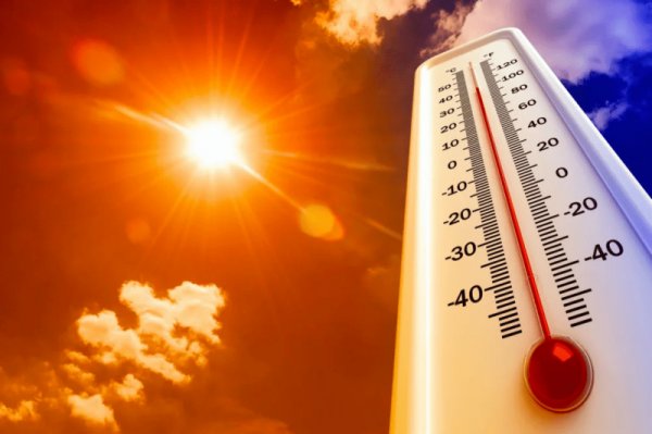 В ближайшие дни в Республике Алтай прогнозируется аномальная жара