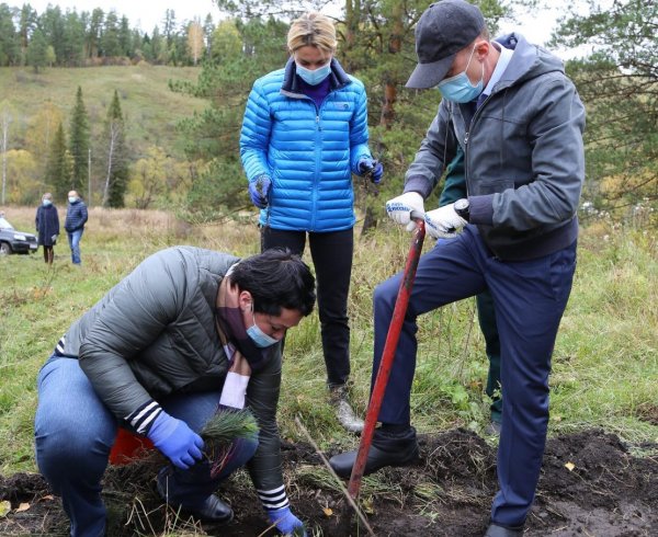 Всероссийская акция «Сохраним лес» состоялась в Республике Алтай
