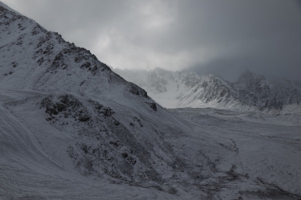 Мониторинговую сеть для изучения снежного барса устанавливают на Северо-Чуйском хребте