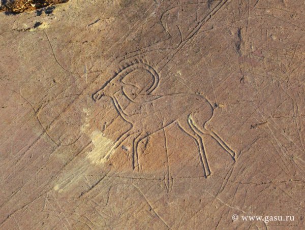 Ученые исследовали петроглифы эпохи средневековья в Улаганском районе