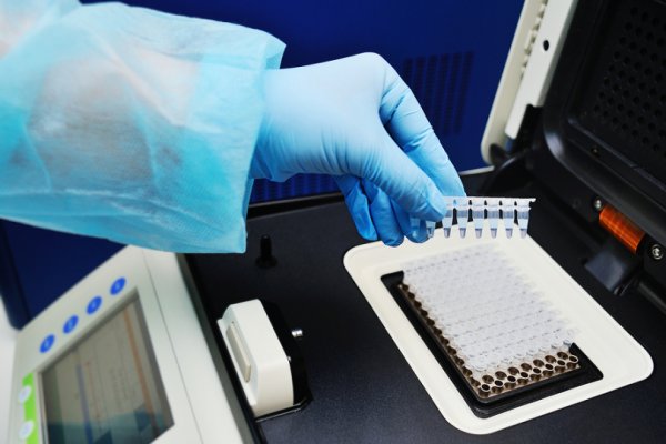Дополнительные лаборатории по исследованию ПЦР-тестов на коронавирус открылись в регионе