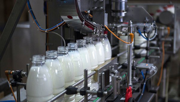 В «Майма-Молоко» при господдержке модернизируют молочные цеха