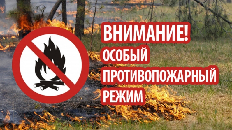 В Республике Алтай действует особый противопожарный режим