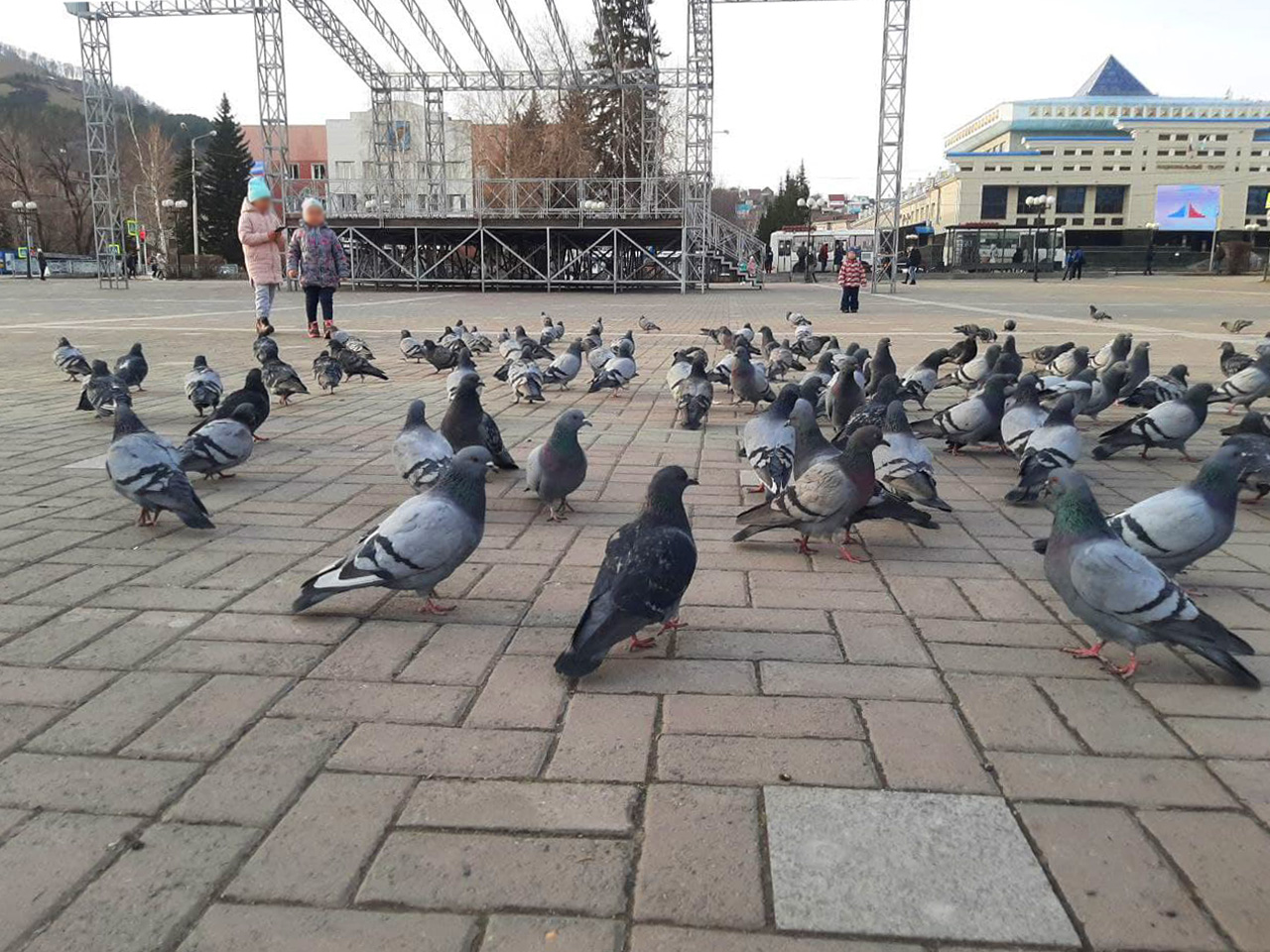 В Горно-Алтайске в поддержку Навального вышли голуби???
