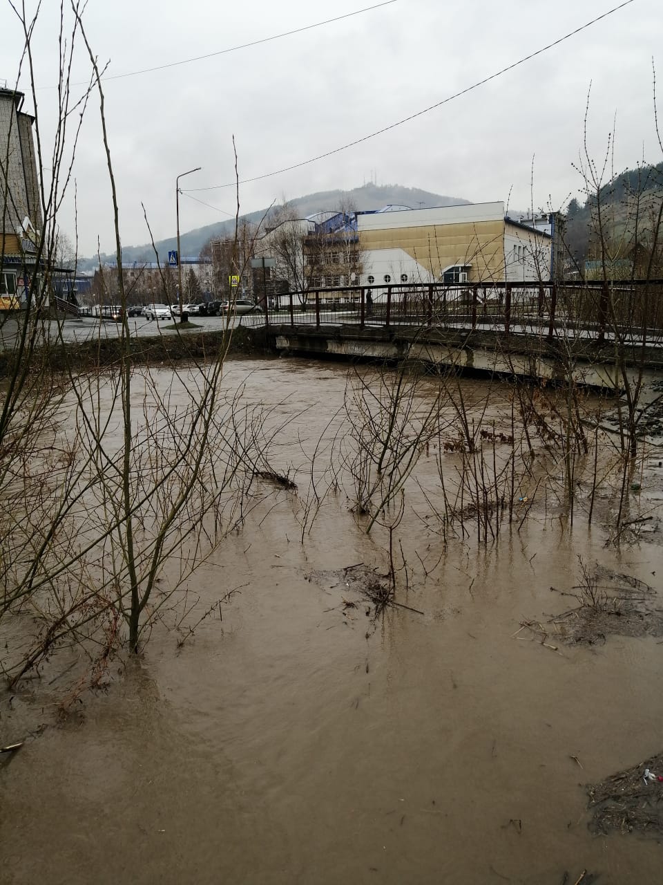 В Республике Алтай осложнилась паводковая ситуация