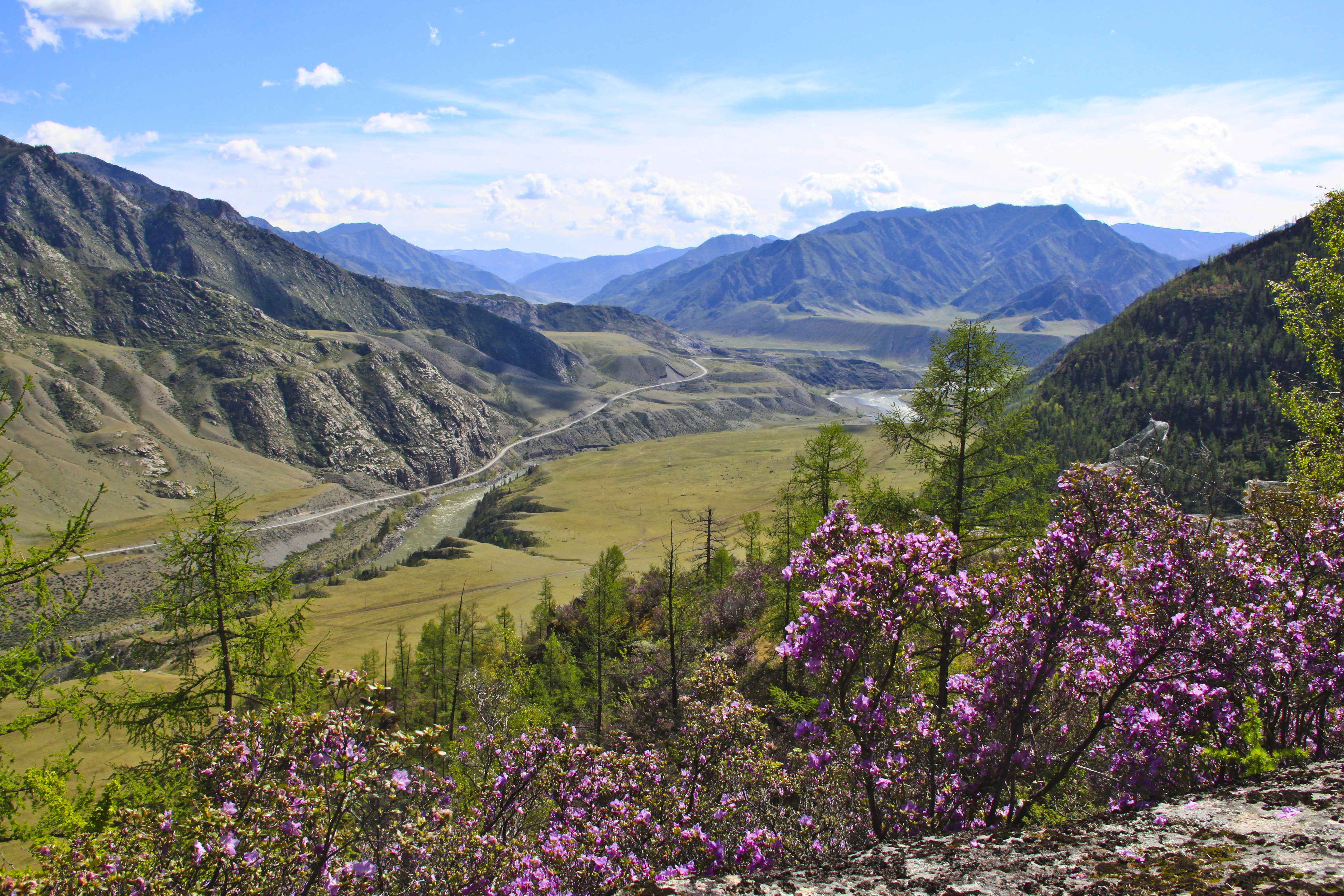 Более миллиона туристов посетили Республику Алтай за первые шесть месяцев текущего года