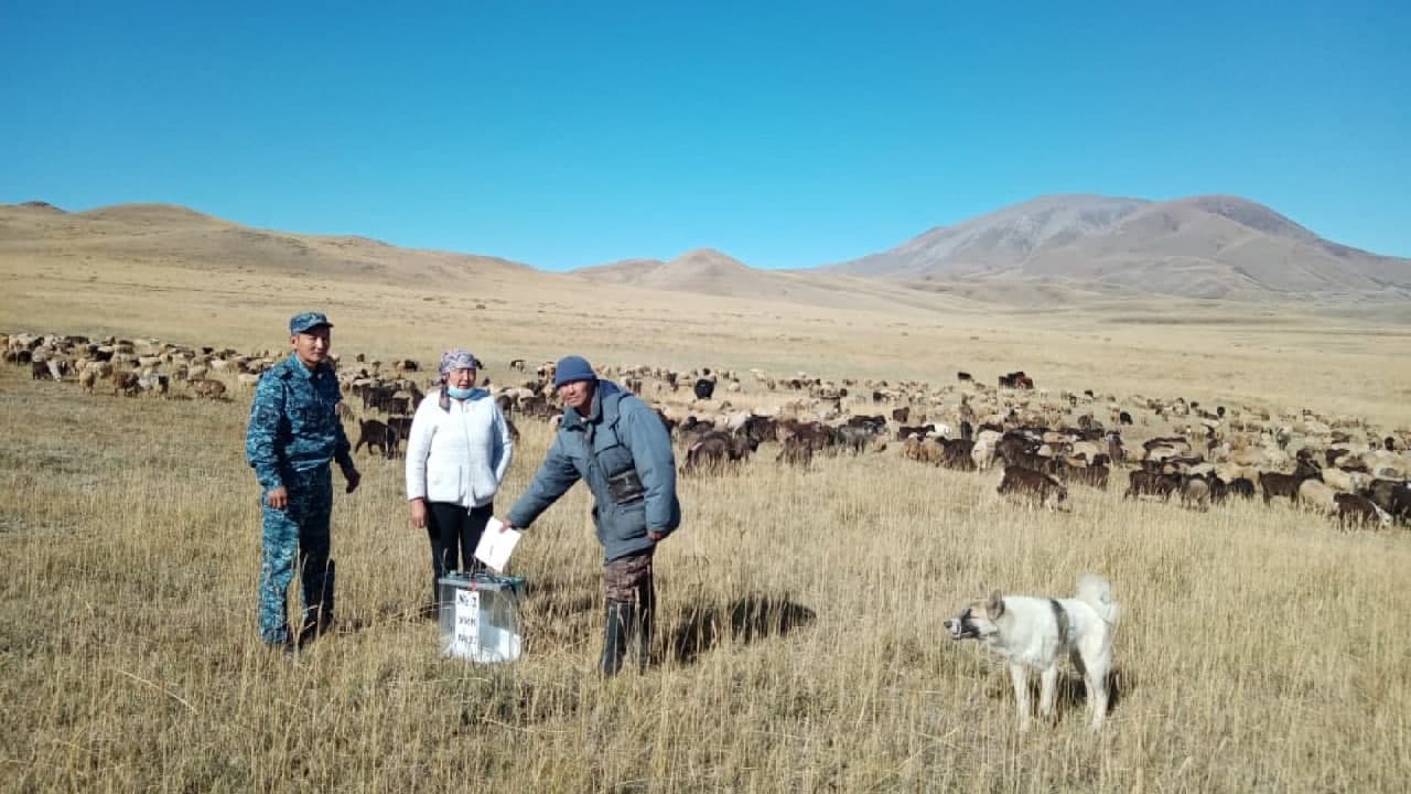 Более 600 жителей отдаленных территорий Республики Алтай проголосовали досрочно