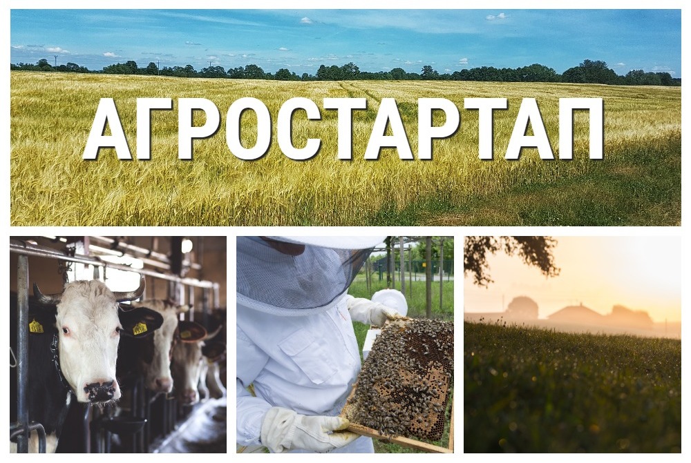 За два года на поддержку фермерства и кооперации в Республике Алтай направлено 73 млн рублей