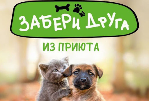 Жителей Горно-Алтайска приглашают присоединиться к акции «Забери друга из приюта»