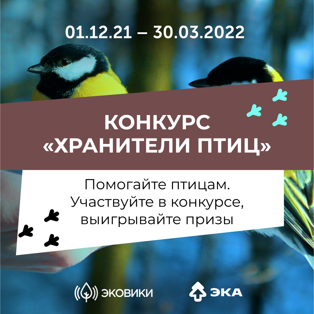 Жителей Республики Алтай приглашают стать хранителями птиц