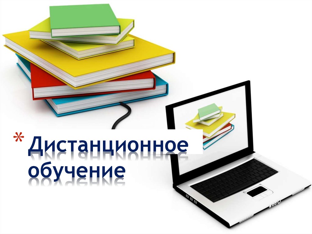 Школы Горно-Алтайска переводят на дистанционное обучение из-за эпидситуации