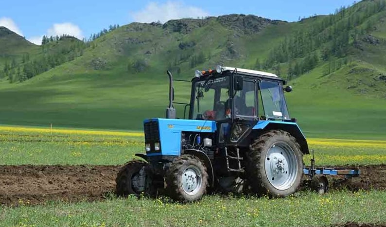 Посевная площадь в Республике Алтай превысит 100 тыс. гектаров