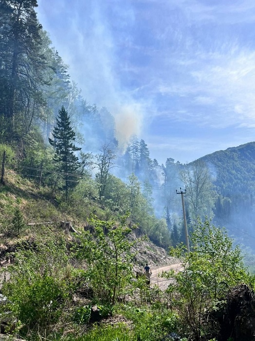 Крупный лесной пожар локализован возле Телецкого озера