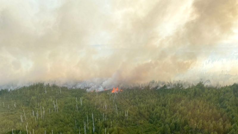 Власти Рязани все силы бросили на борьбу с лесными пожарами