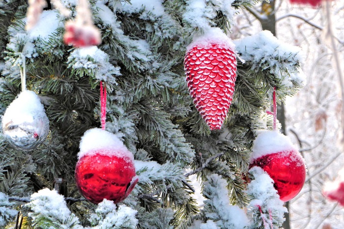 Новогодние елки пройдут в микрорайонах Горно-Алтайска