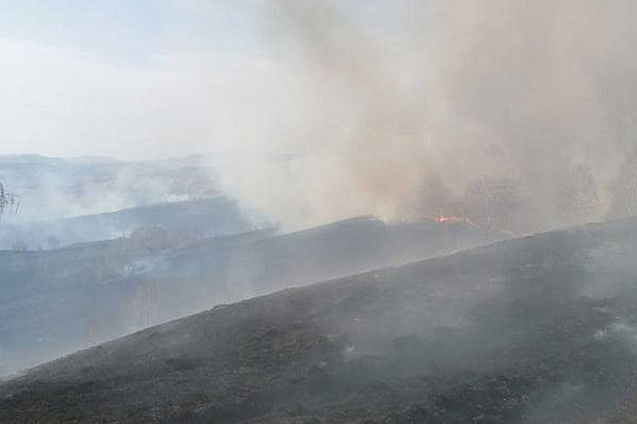 Особый противопожарный режим введён на территории Республики Алтай