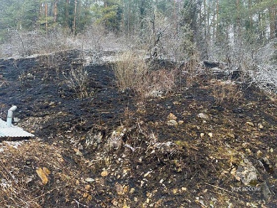 Два лесных пожара ликвидировали в Республике Алтай