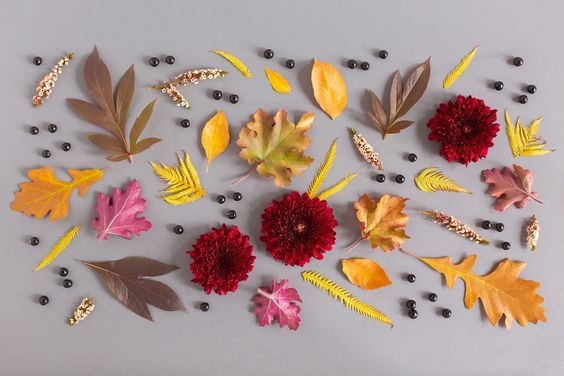 Осенний букет: как подобрать цветы
