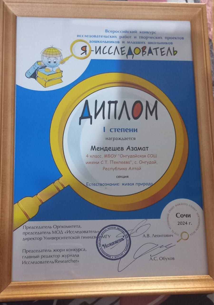 Четвероклассник из Онгудайского района стал лауреатом всероссийского конкурса