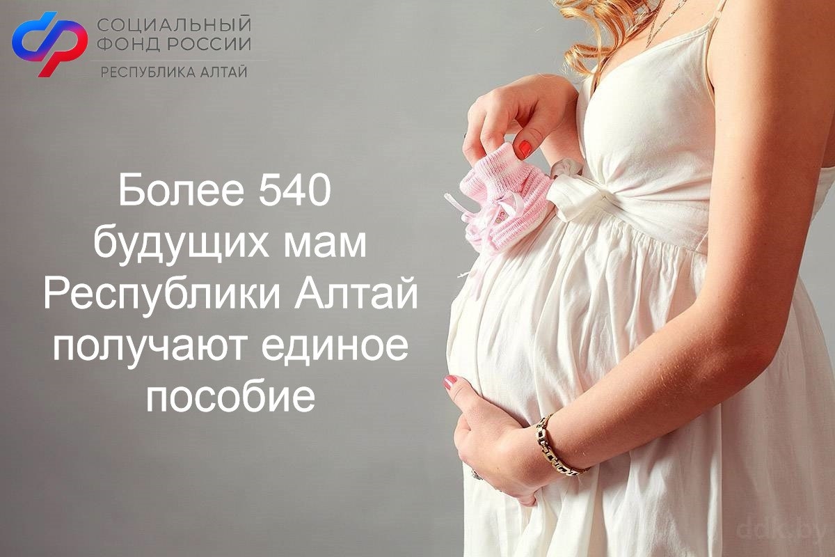 Более 500 будущих мам на Алтае получают единое пособие