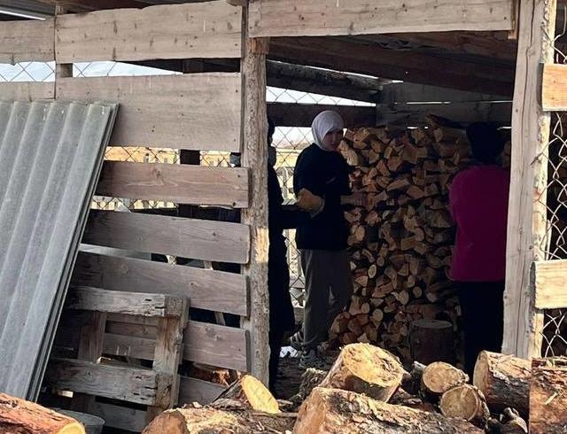 Дети в Кош-Агаче помогли старенькой бабушке с домашними делами